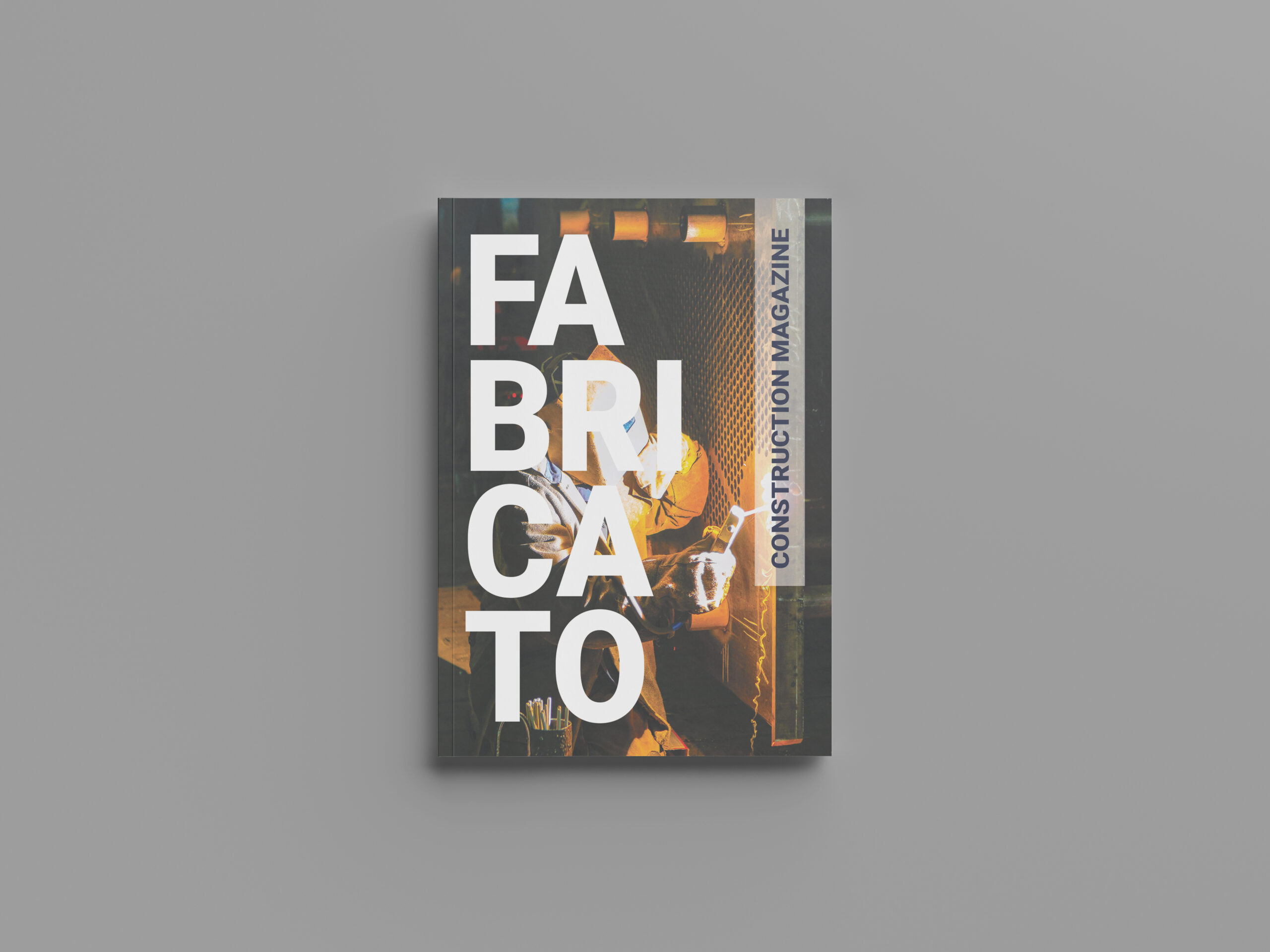 Editorial Project Fabricato